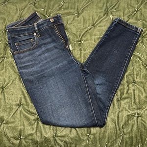 Everlane The Curvy High-Rise Skinny Jean